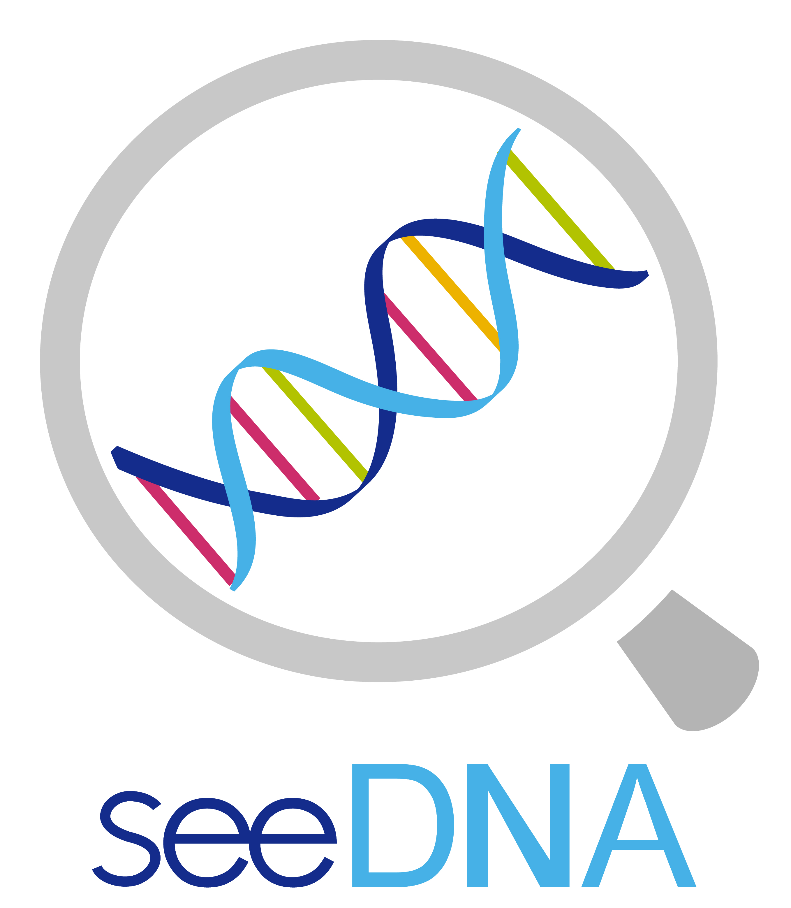 株式会社ｓｅｅＤＮＡ